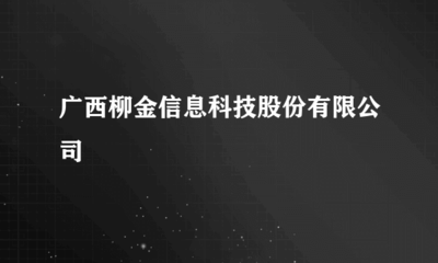 广西柳金信息科技股份