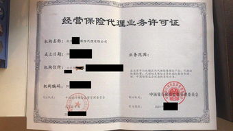 便宜干净的北京区域代理牌照转让