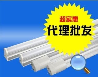 山东节能环保ED灯管代理价格信息 - 007商务站-全球网上贸易平台