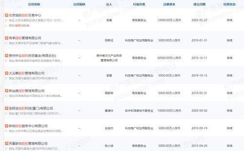 2022年无形资产估值工具和方法研究报告 聚焦销售与互联网电子产品销售