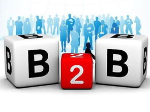 京东B2B电子销售 为何能在阿里失手处成功？